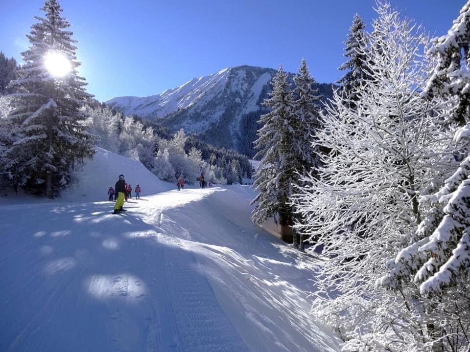 Ferienwohnung Le Grandcoeur Le Bourg-dʼOisans Exterior foto